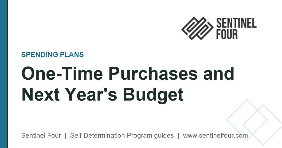 One-Time Purchases and Next Year's Budget